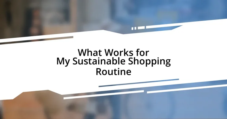 What Works for My Sustainable Shopping Routine